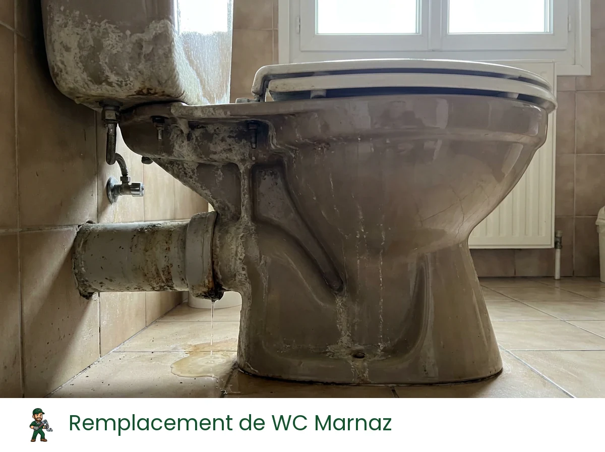 Remplacement de WC à Marnaz